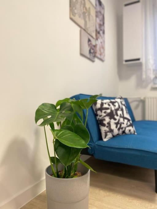 Apartman Kristina Štúrovo Εξωτερικό φωτογραφία